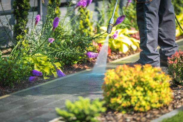 Best Dumpster Area Cleaning  in Alvin, TX
