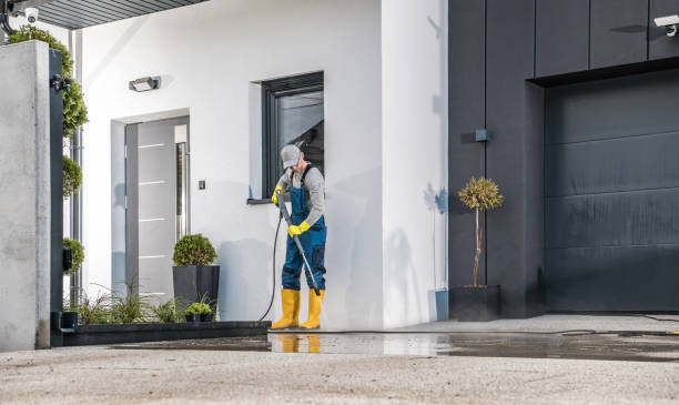Best Graffiti Removal  in Alvin, TX