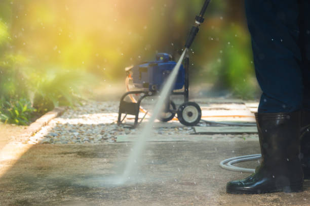 Best Solar Panel Cleaning  in Alvin, TX